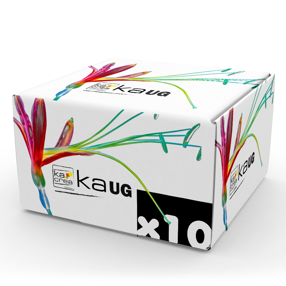 Pack KAUG x10
